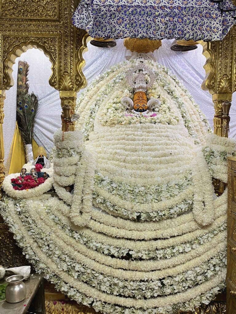 #KhatuShyam #ShyamBaba #KhatuShyamJi #JaishreeShyam #KhatuDham #ShyamSarkar #KhatuShyamTemple #RadheKrishna #ShyamBhakt #KhatuNaresh