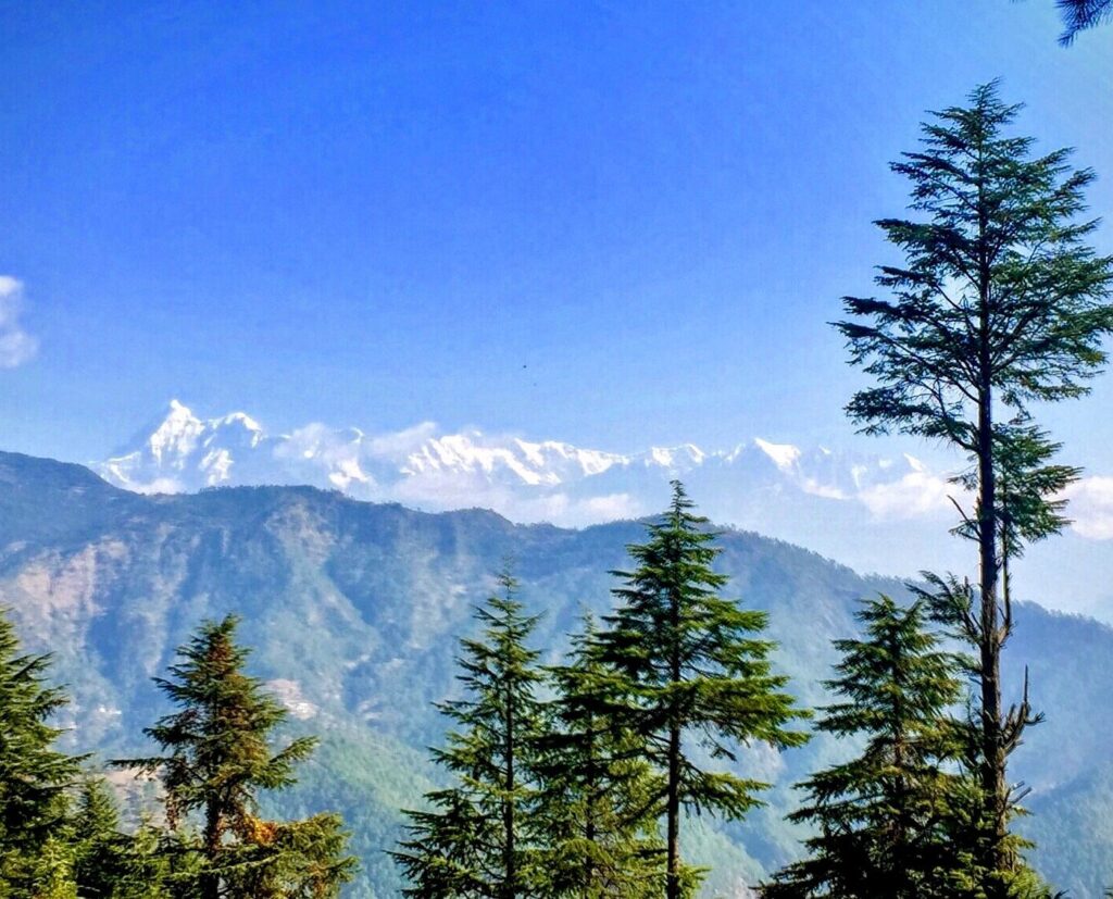 Gwaldam: Uttarakhand’s Serene Hill Station Retreat