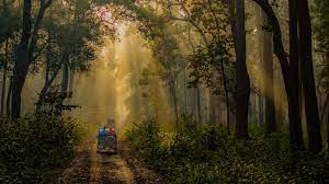 Jim Corbett National Park Uttarakhand’s Wild Heart of Adventure.jpg