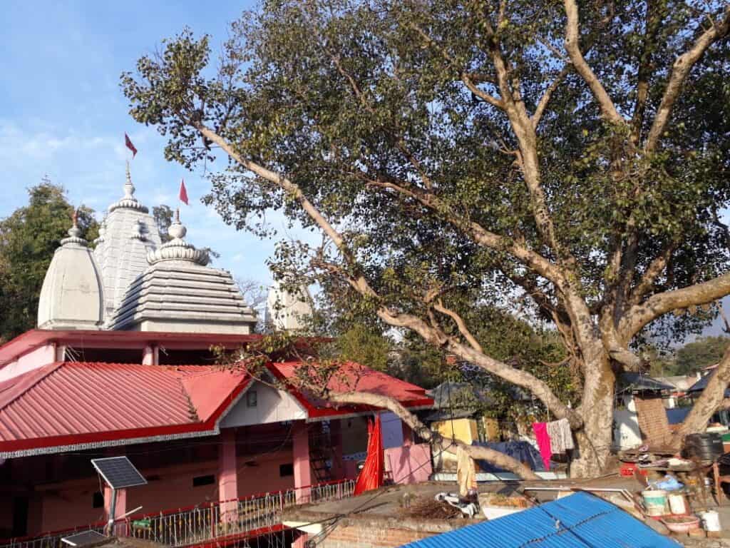 Simsa Mata Temple, simas, Lad Bharol tehsil of Mandi district in Himachal Pradesh, India.
